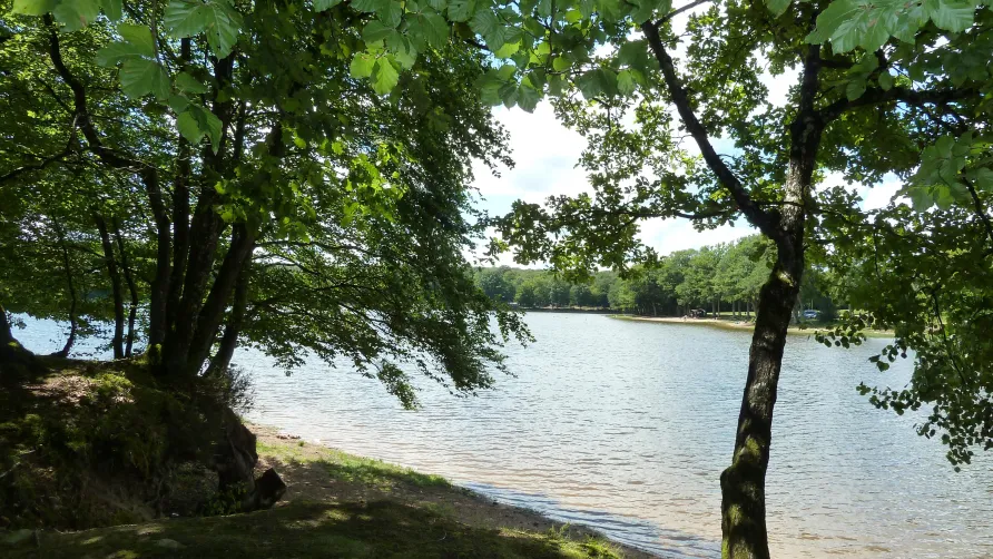 Camping de L'Etang du Merle