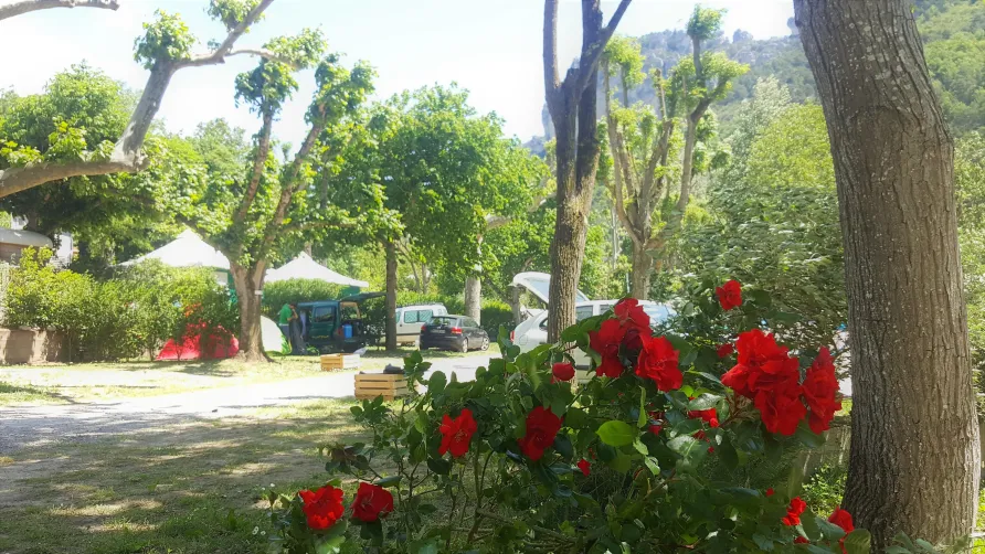 Camping LA MUSE