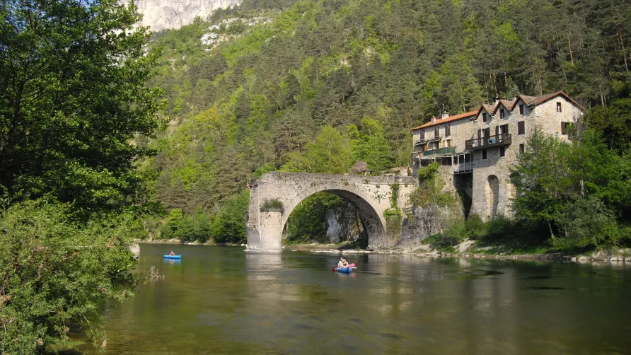 Camping LA MUSE