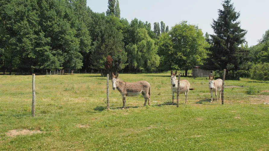 Camping la Ferme de Perdigat