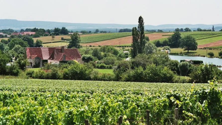 CAMPING MOULIN DE COLLONGE