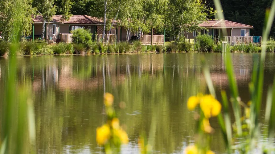 Castel Camping Les Bois du Bardelet