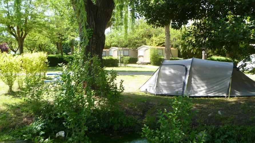 Camping La Grenouille
