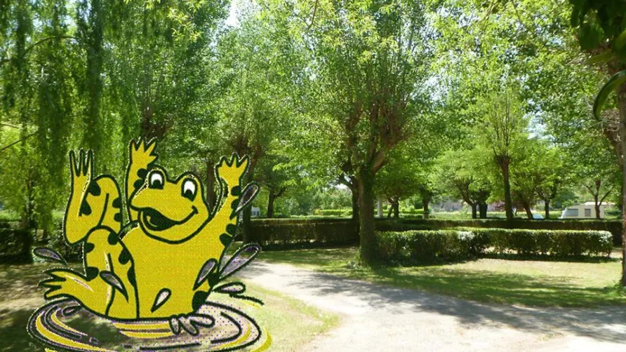 Camping La Grenouille