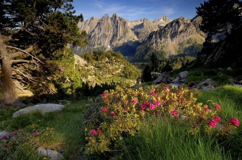 CAMPING VORAPARC
