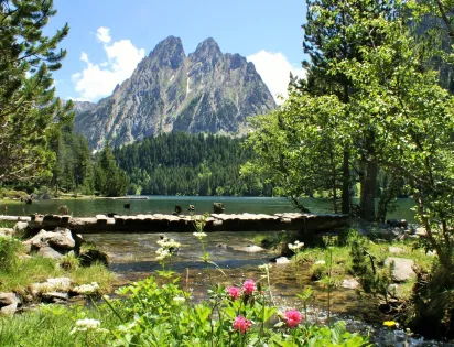 CAMPING VORAPARC