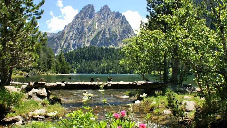 CAMPING VORAPARC