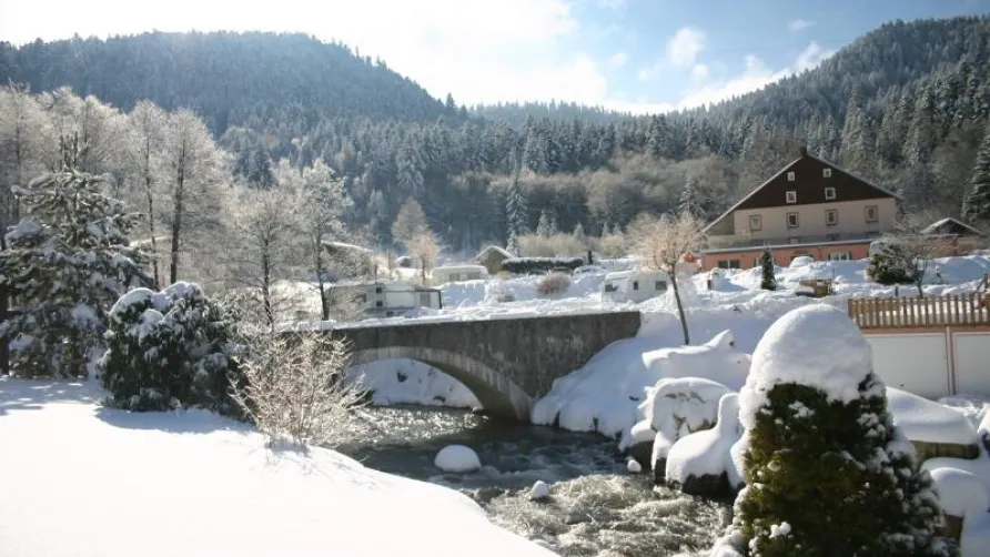 DOMAINE DU HAUT DES BLUCHES