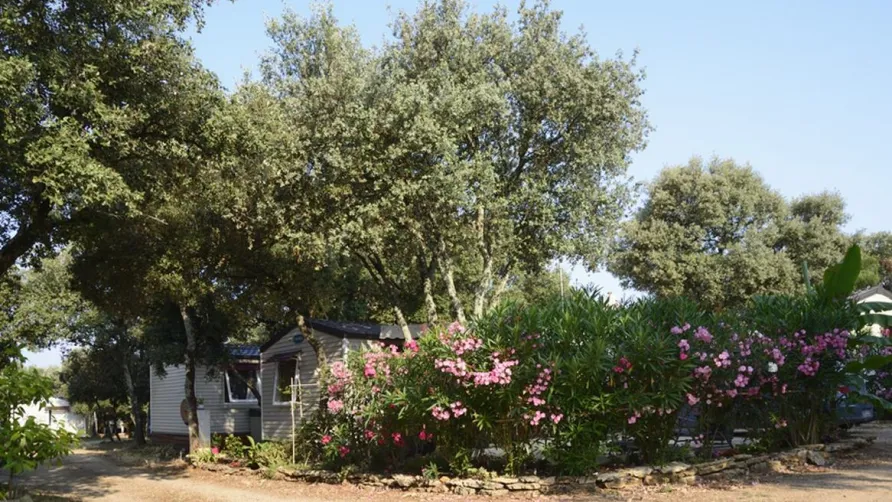 Camping Domaine de Gajan