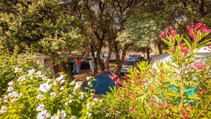 Camping Domaine de Gajan