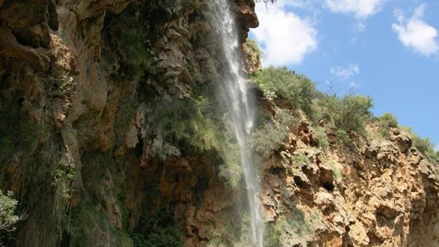 Camping Altomira