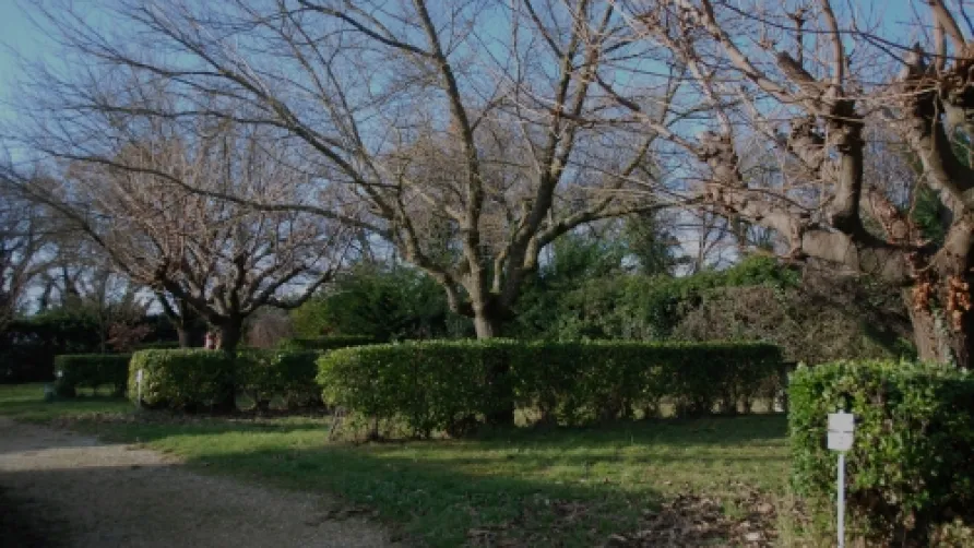 Camping Domaine de la Coronne