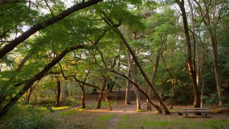 Molecaten Park De Agnietenberg