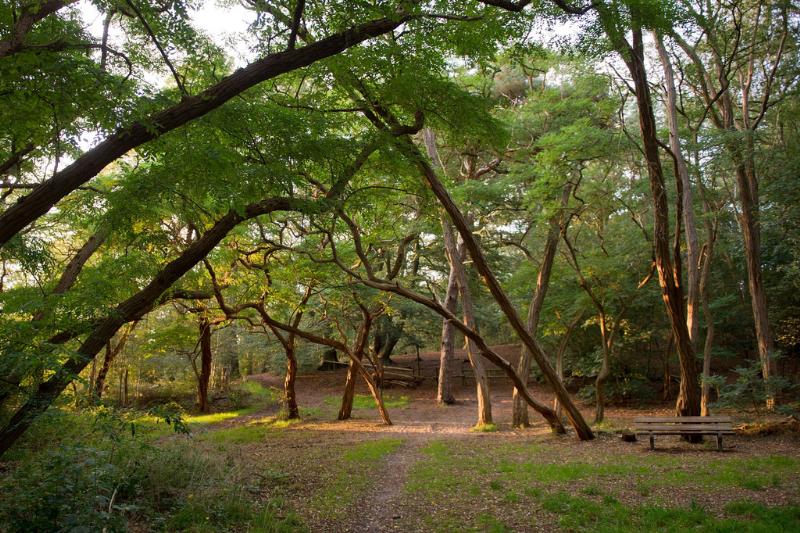 Molecaten Park De Agnietenberg