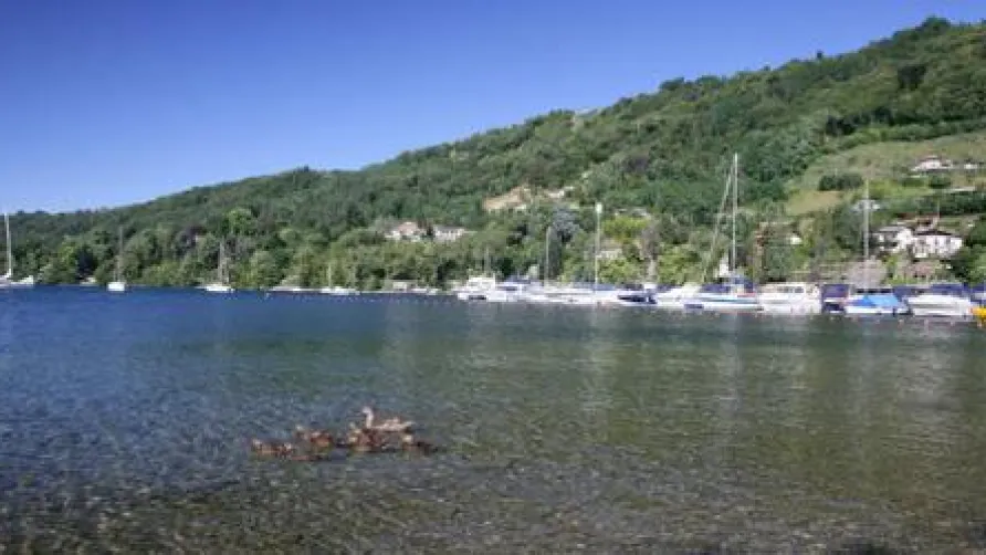 Camping Solcio - Lago Maggiore