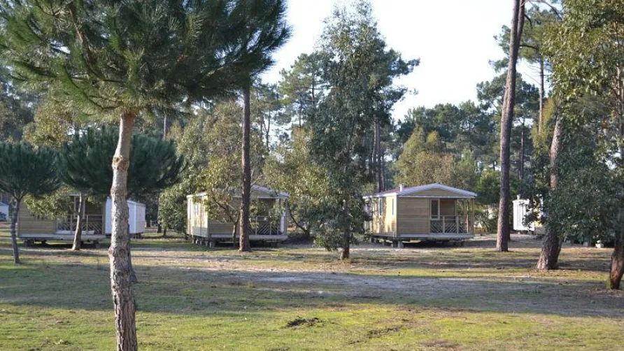 Camping Club Médoc Plage - MS Vacances