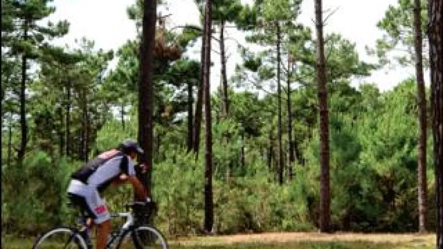 Camping Club Médoc Plage - MS Vacances