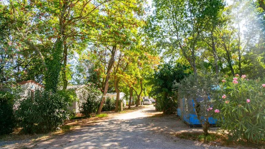 CAMPING LA GARENNE