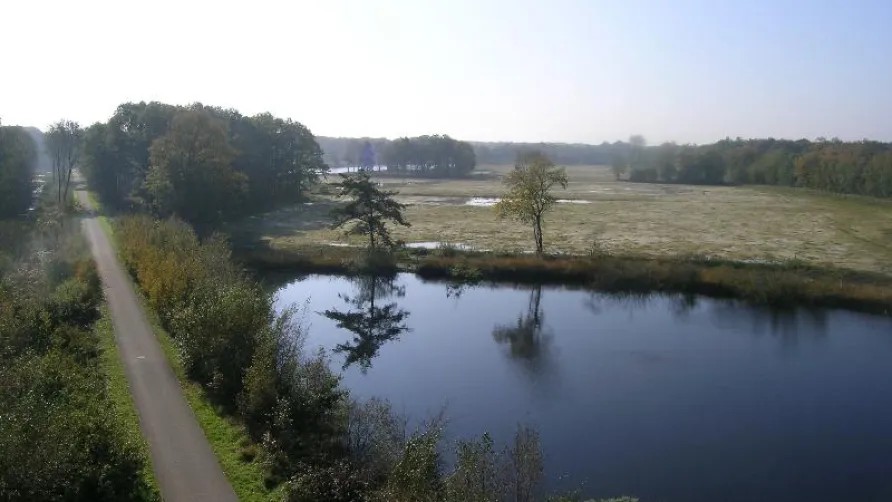 Arden Parks Baalse Hei