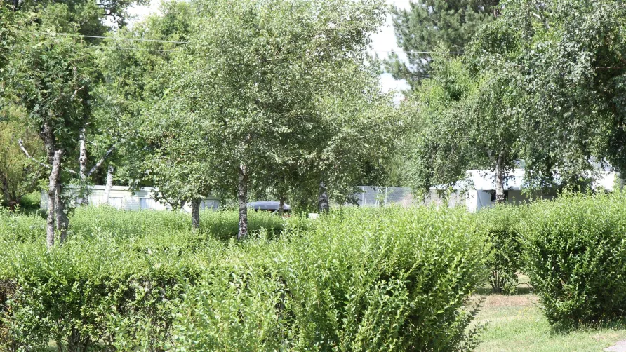 Camping de St Gervais