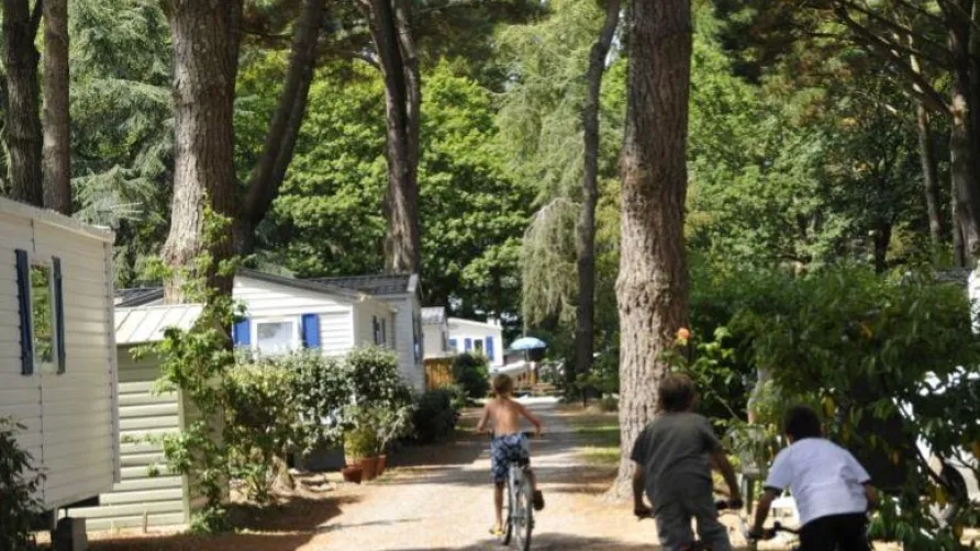 Camping Sunêlia le Petit Bois