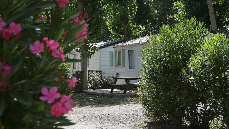 Camping les Berges du Canal