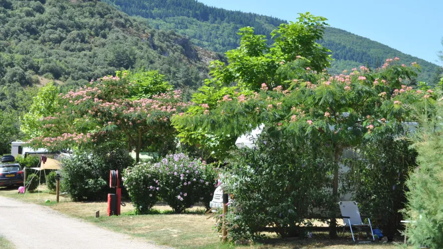 Camping Les Cerisiers du Jaur