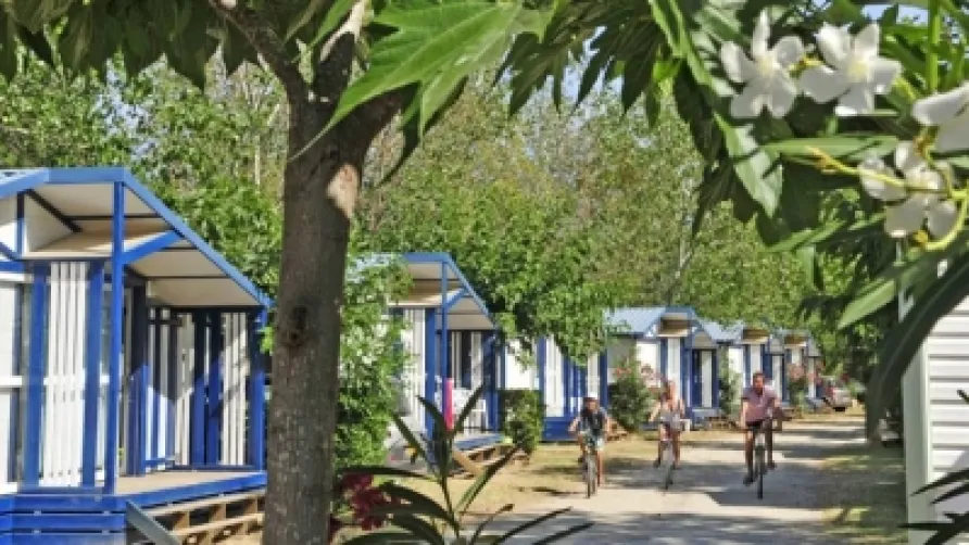 Camping Calypso