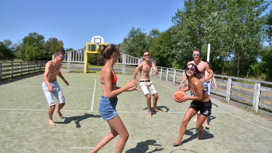 CAMPING LES DRUIDES