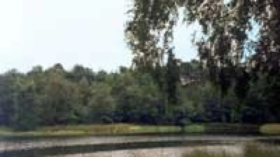 Recreatiecentrum Heumens Bos