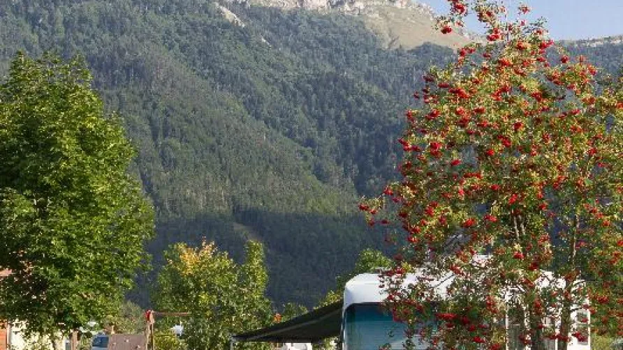 Camping Belle Roche