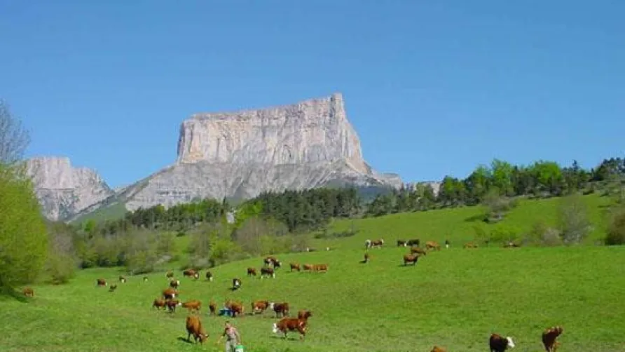 Camping Belle Roche