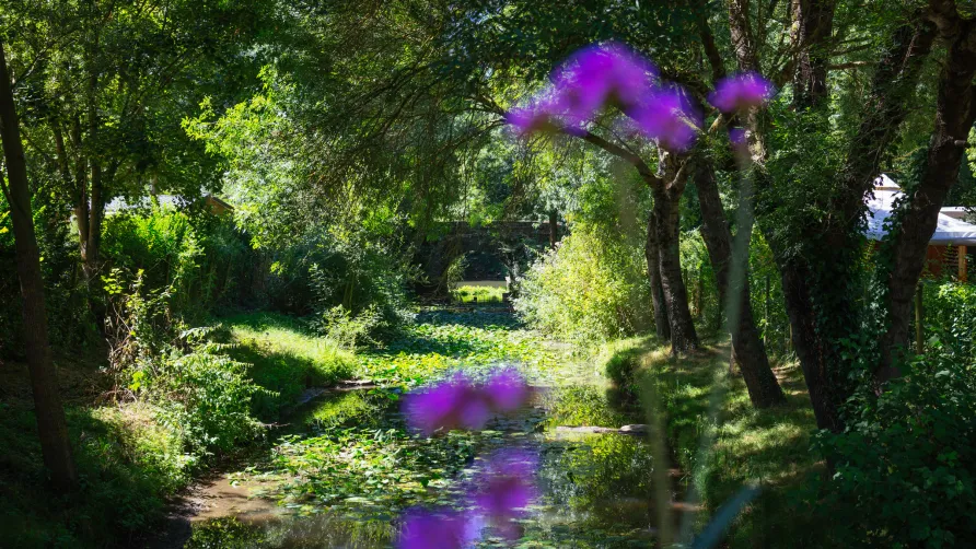 Camping de l'Etang Sites et Paysages