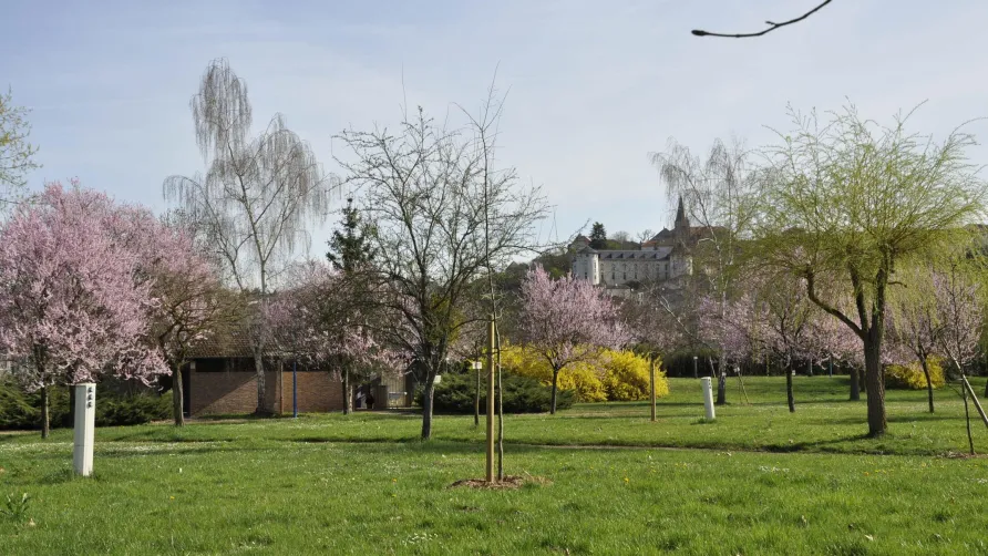 Camping de la Moselle
