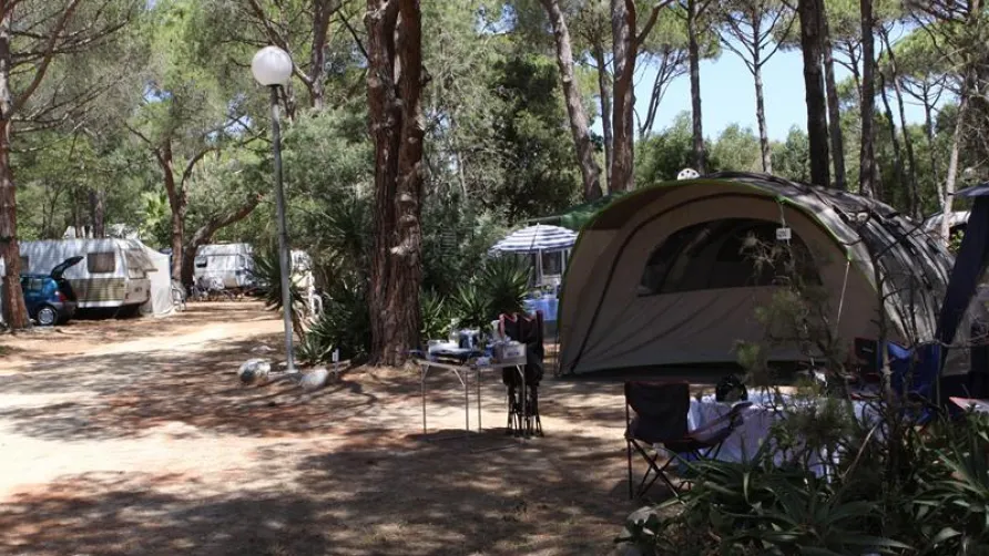 Camping LA PINEDE