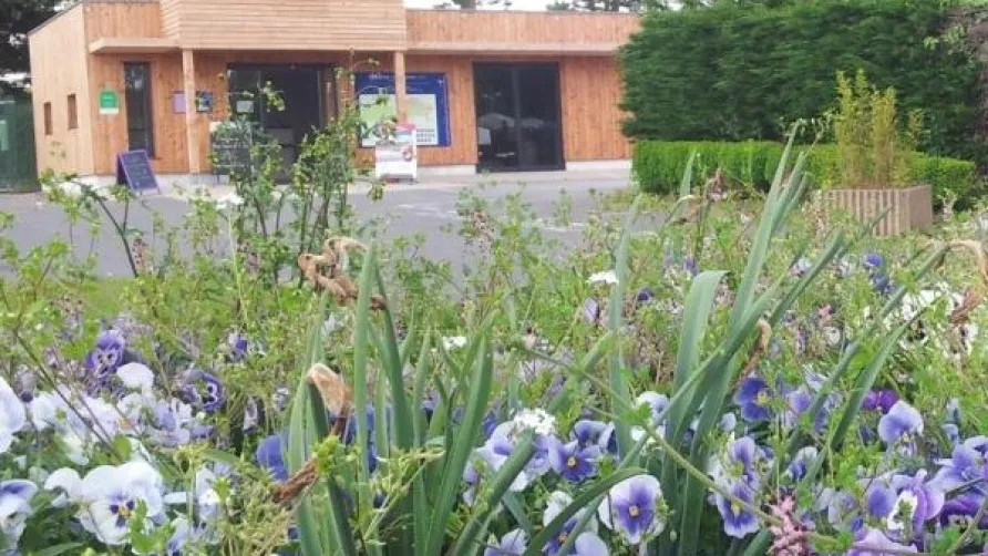 Flower Camping Le Conleau