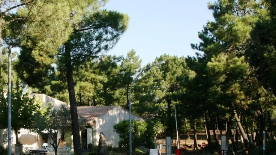 Camping La Pinède en Provence