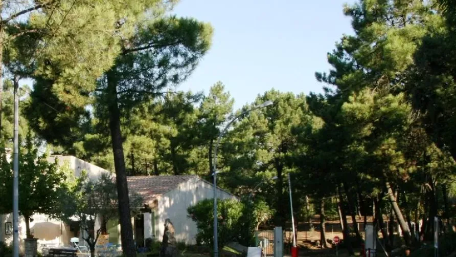 Camping La Pinède en Provence