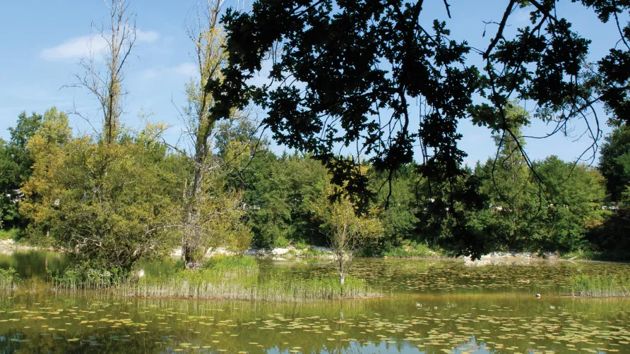Le Parc des Allais - André Trigano