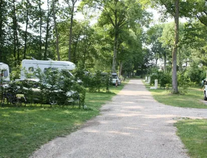 Camping de la Forêt