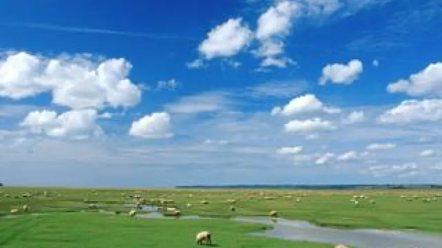 Campéole Saint Grégoire