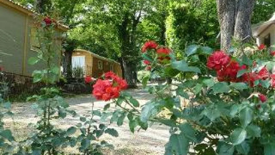 CAMPING LES CRUSES